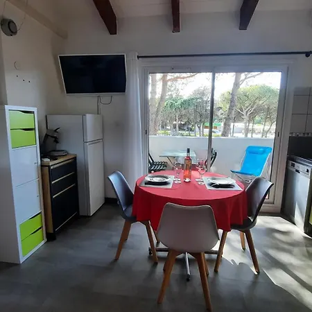 2 Pieces Mezzanine Avec Piscine Apartment Agde